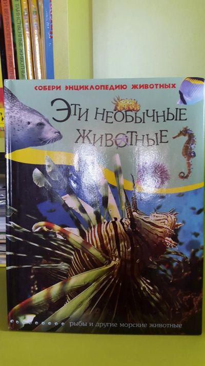 Лот: 9379732. Фото: 1. Книга Рыбы и морские животные. Познавательная литература