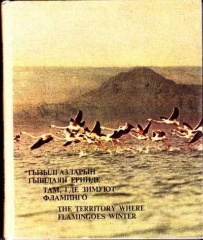 Лот: 12251784. Фото: 1. Там, где зимуют фламинго Красочный... Фото и видео