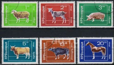 Лот: 21586851. Фото: 1. 1974. Болгария. Домашние Животные... Марки