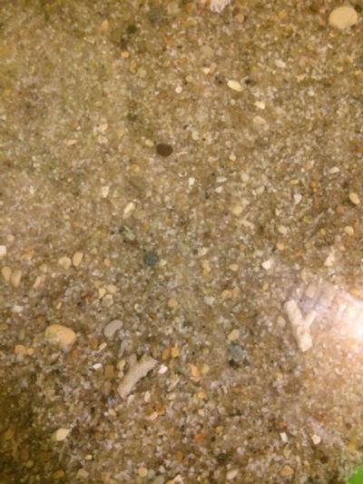 Лот: 9402443. Фото: 1. Грунт- морская галька+песок кварцевый. Грунты, украшения, наполнения