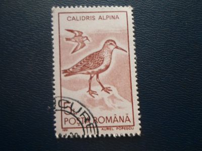 Лот: 17434507. Фото: 1. Марка для Вашей коллекции. №29389. Марки