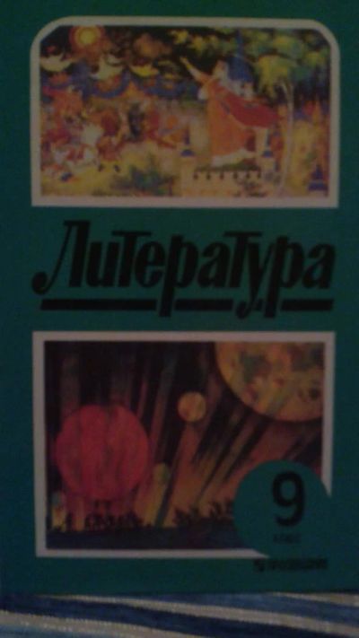 Лот: 9786143. Фото: 1. №20. Учебник. Литература. 9 класс... Для школы