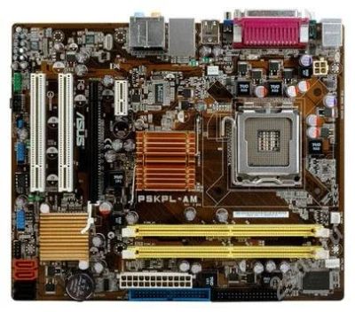 Лот: 1228488. Фото: 1. asus p5kpl-am. Материнские платы