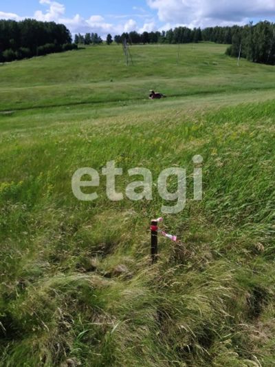Лот: 25291250. Фото: 1. участок , Красноярск Красноярск... Земельные участки