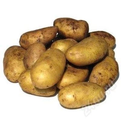 Лот: 799903. Фото: 1. отборный, вкусный картофель с... Картофель