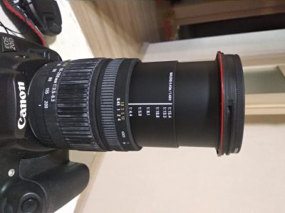 Лот: 16278216. Фото: 1. Canon EOS 20D / Цифровой зеркальный... Цифровые зеркальные