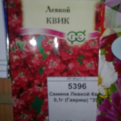 Лот: 9118158. Фото: 1. Семена / цветы / Левкой Квик... Садовые цветы