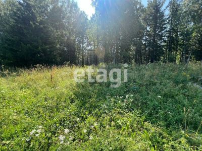 Лот: 25287605. Фото: 1. участок , СНТ Радуга СНТ Радуга... Земельные участки