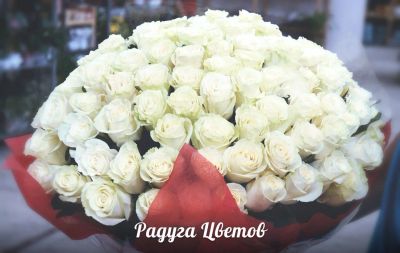Лот: 6389755. Фото: 1. 55 роз из Голландии - 3575 рублей... Свежие цветы