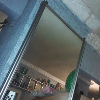 Лот: 25645776. Фото: 1. большое зеркало (дверь от купе... Зеркала