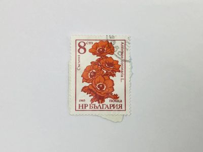 Лот: 23314158. Фото: 1. Садовые цветы. Ветреница корончатая... Марки