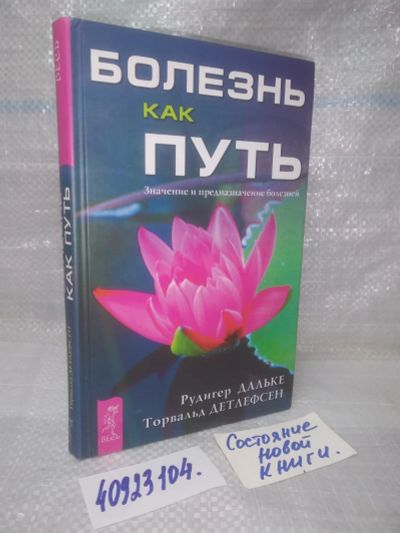 Лот: 25781141. Фото: 1. озр...вбю..(40923104) Болезнь... Религия, оккультизм, эзотерика