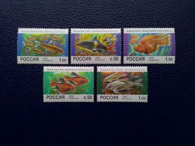 Лот: 14757516. Фото: 1. 1998. № 425-429. Фауна. Аквариумные... Марки