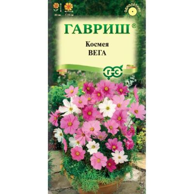 Лот: 24683812. Фото: 1. Семена Цветы, Космея, Вега, 0... Другое (семена, рассада, садовые растения)