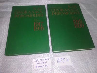 Лот: 19934185. Фото: 1. Какурин Н.Е., Как сражалась революция... История