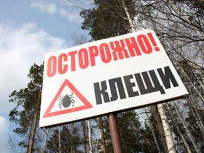 Лот: 2721735. Фото: 1. Обработка от клещей, насекомых... Другие (бытовые услуги)