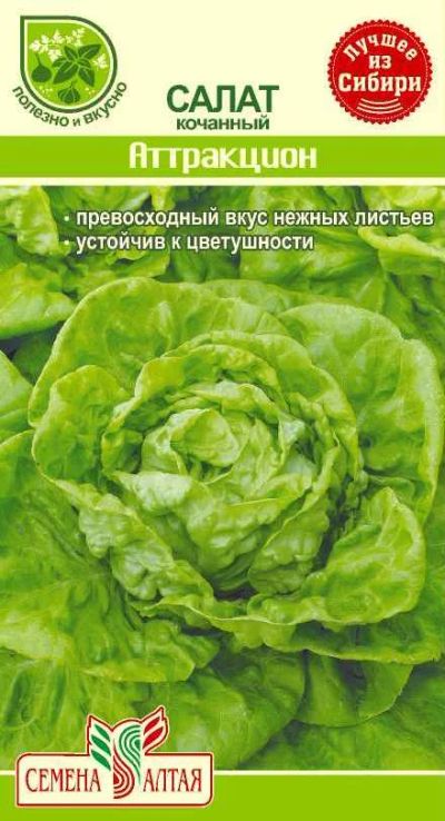 Лот: 11007997. Фото: 1. Семена салата кочанного "Аттракцион... Овощи
