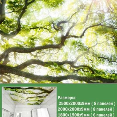 Лот: 9869458. Фото: 1. Панели ПВХ для потолка Novita... Обои, панели, ДВП, ДСП, МДФ