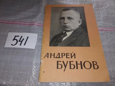 Лот: 17548579. Фото: 1. А.Биневич, З.Серебрянский. Андрей... Мемуары, биографии