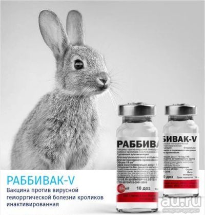Лот: 16056950. Фото: 1. Вакцина Раббивак-V (ВГБК). Косметика для животных