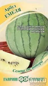 Лот: 18569822. Фото: 1. Арбуз Емеля. Ягоды