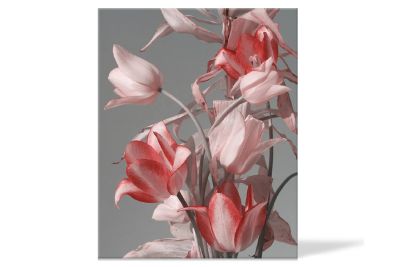 Лот: 23630139. Фото: 1. Канвас Hoff Idea. Картины, гравюры
