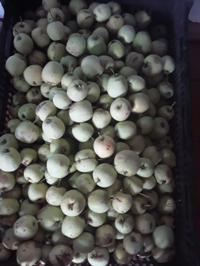 Лот: 16284887. Фото: 1. Ранетка вкусная. Овощи, фрукты, зелень