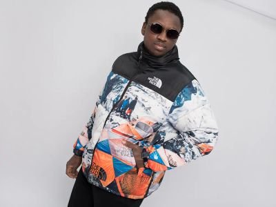Лот: 20870912. Фото: 1. Куртка зимняя The North Face. Верхняя одежда