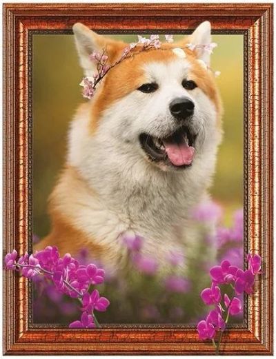 Лот: 1794733. Фото: 1. новая картина "Собака" Алмазная... Мозаика, фреска