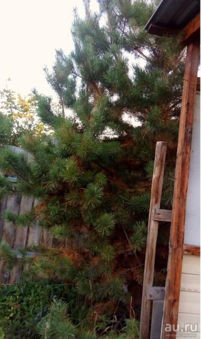 Лот: 15437774. Фото: 1. Участок с красивым видом. 9 соток... Земельные участки
