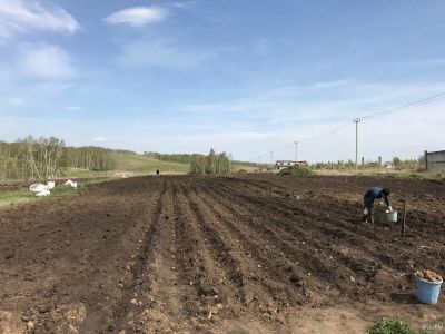 Лот: 13689171. Фото: 1. Сдам в аренду земельный участок... Земельные участки