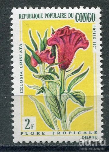 Лот: 15104020. Фото: 1. 1971 Конго Цветы Растения Флора... Марки