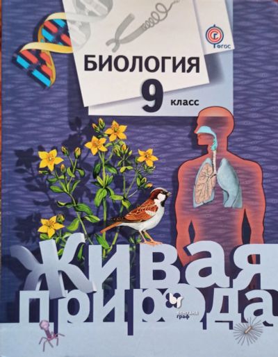Лот: 25732228. Фото: 1. Сухова Тамара, Сарычева Наталья... Для школы