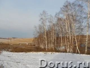 Лот: 3982706. Фото: 1. Земельный участок ДНТ" Молодежный... Земельные участки
