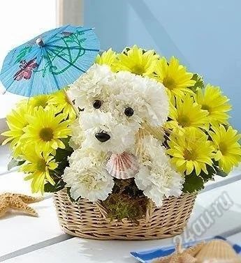 Лот: 2336613. Фото: 1. эксклюзивный подарок!!! для дня... Другое (цветы, букеты)