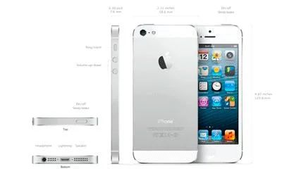 Лот: 2448516. Фото: 1. iphone 5 16 gb Оригинальный! Цена... Смартфоны