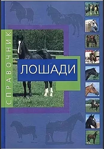 Лот: 21091501. Фото: 1. Альберто Сольди - Лошади. Справочник... Справочники