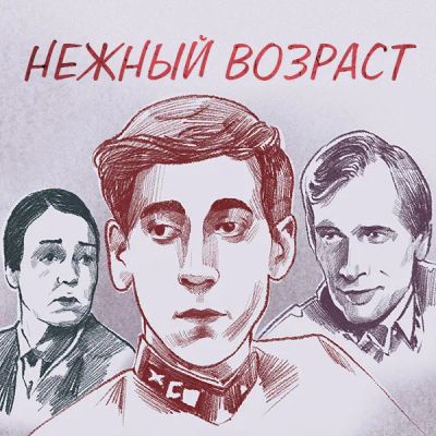 Лот: 24810546. Фото: 1. Нежный возраст. Видеозаписи, фильмы