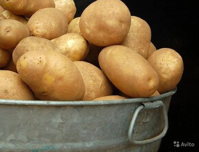 Лот: 5892057. Фото: 1. Отборный картофель со своего участка... Картофель