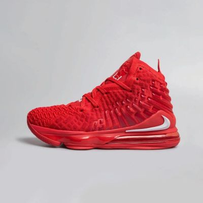 Лот: 15825061. Фото: 1. Nike Lebron XVII Артикул: 18671. Кеды, кроссовки, слипоны