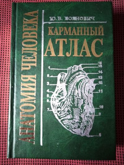 Лот: 19231780. Фото: 1. Ю. В. Боянович. Анатомия человека... Традиционная медицина