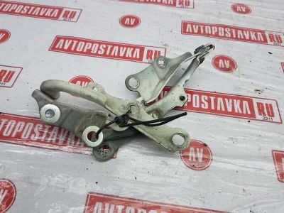 Лот: 20902346. Фото: 1. Петля капота Toyota Harrier MCU15W... Двигатель и элементы двигателя