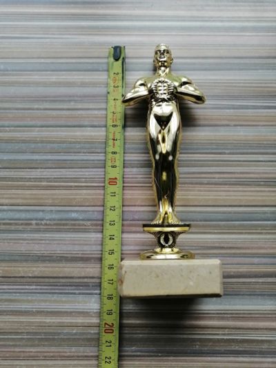 Лот: 23600913. Фото: 1. Статуэтка, приз для победителя... Фигурки, статуэтки