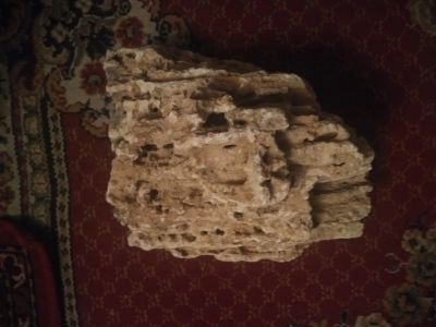 Лот: 11889935. Фото: 1. Песчаник 2. С рубля. Грунты, украшения, наполнения