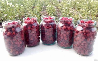 Лот: 14065554. Фото: 1. Малина (ценa за 5 литров+ бесплатная... Ягоды, орехи