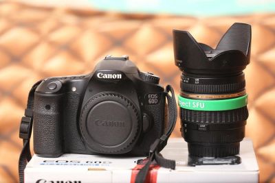 Лот: 10960016. Фото: 1. Canon 60D body. Цифровые зеркальные
