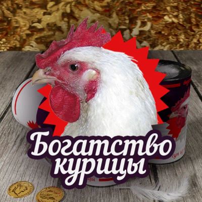 Лот: 24292478. Фото: 1. Богатство курицы. Видеозаписи, фильмы