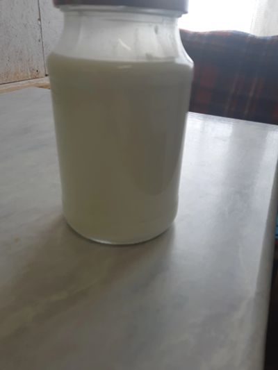 Лот: 18959299. Фото: 1. Козье молоко. Молоко и молочные продукты