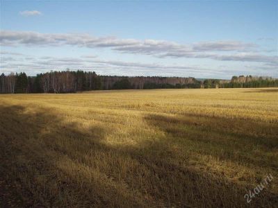 Лот: 4040955. Фото: 1. Продам 15 соток Емельяновский. Земельные участки
