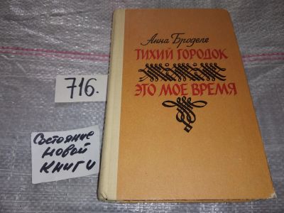 Лот: 16533387. Фото: 1. Броделе Анна, Тихий городок. Это... Художественная